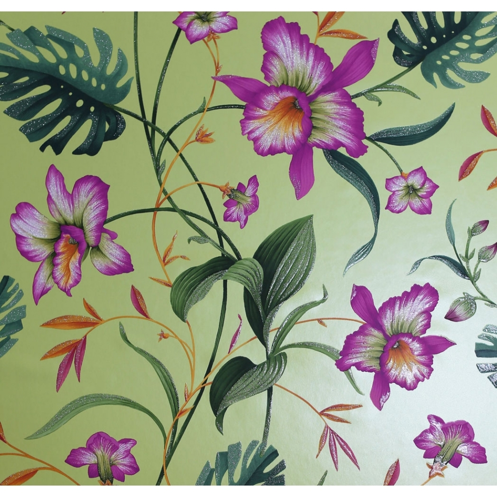 Light Green And White Wallpaper For Walls 1000x1000 Wallpaper teahub.io