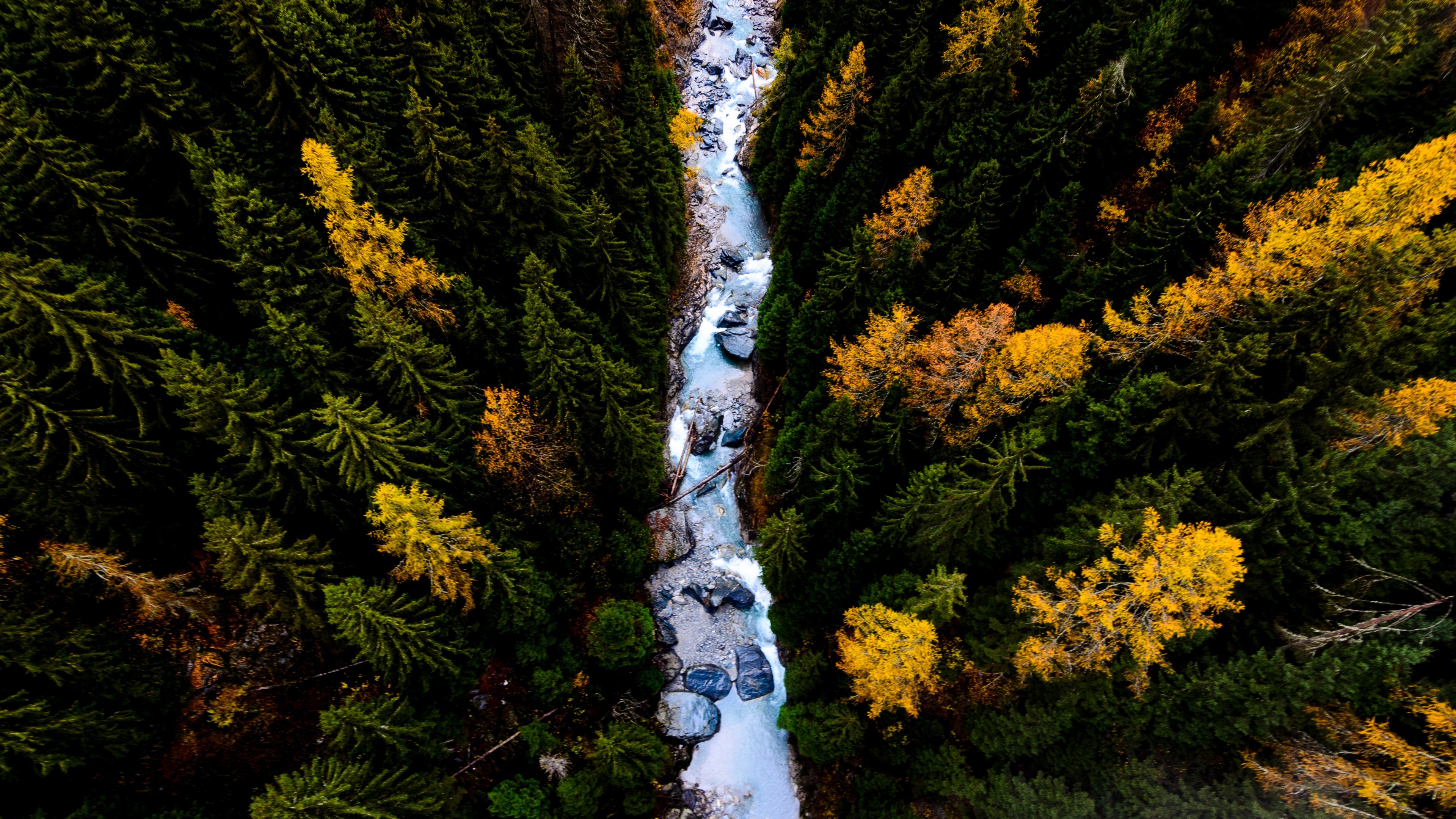 Birds Eye View Of Forest - HD Wallpaper 