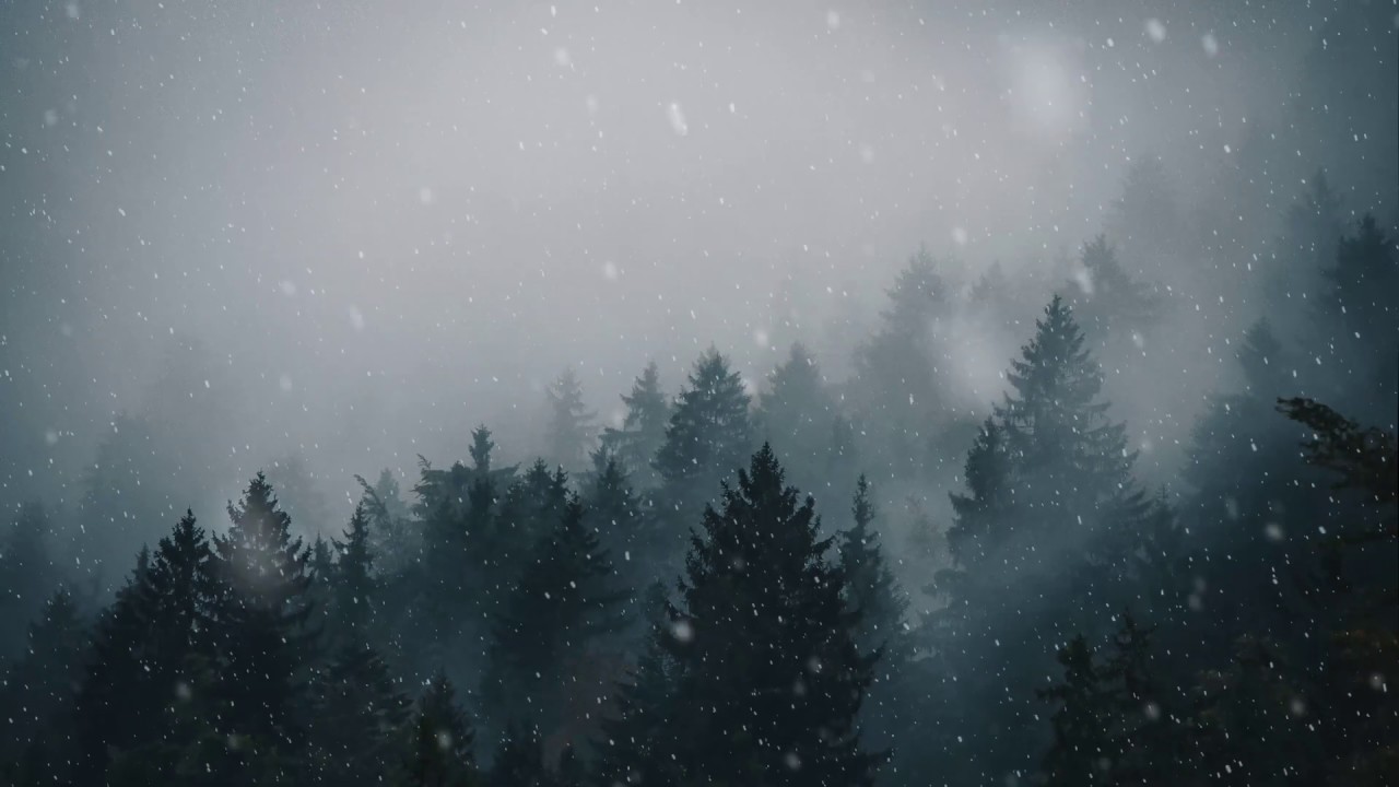 Animated Forest Snow 4k - HD Wallpaper 