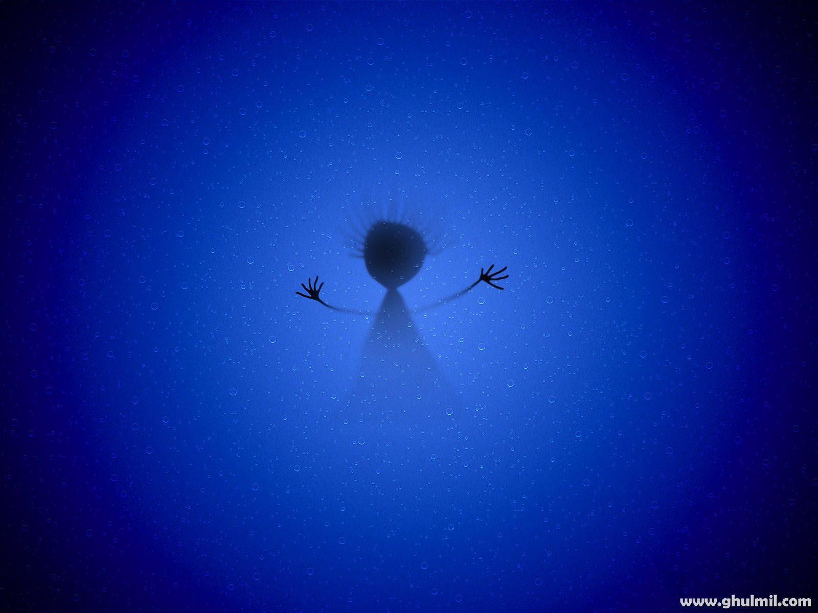 Insect - HD Wallpaper 