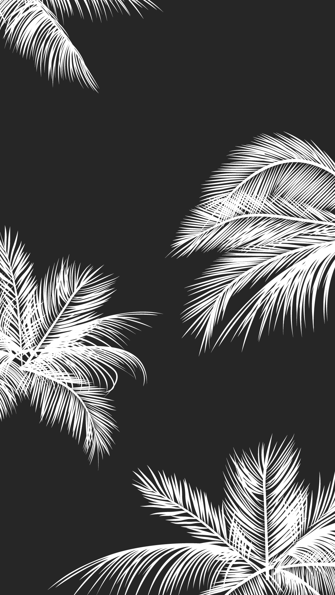 Black White Palm Leaves Palm Trees Like And Repin - Phone Background Black And White - HD Wallpaper 