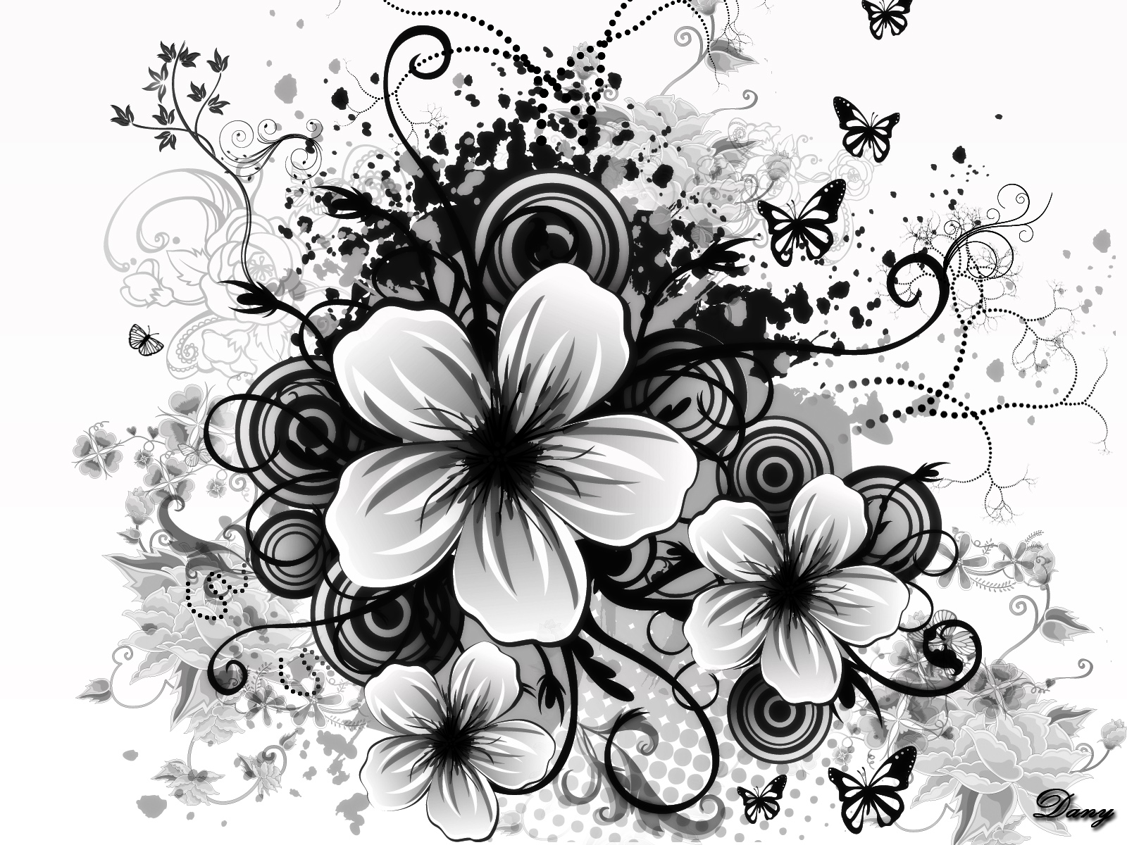 Black And White Flower Wallpaper Dowload Free - Black And White Wallpaper Flowers - HD Wallpaper 