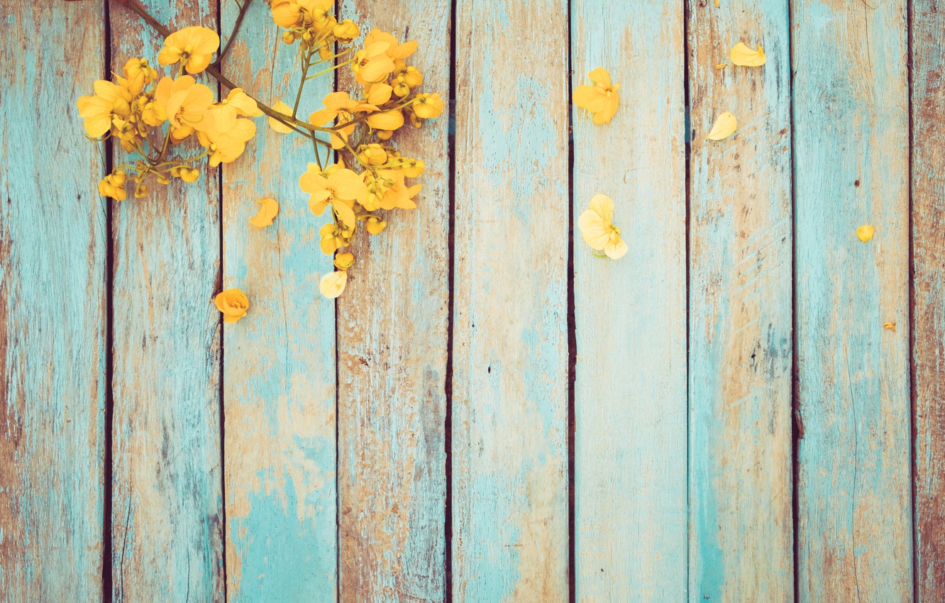 Photo Wallpaper Flowers, Spring, Yellow, Vintage, Yellow, - Spring Wallpapers Yellow - HD Wallpaper 