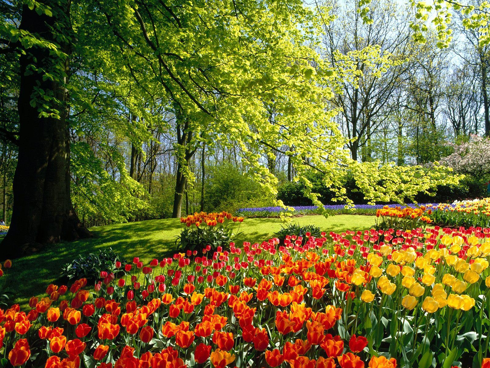 Ful Hd Spring Wallpapers Picture - Free Screensavers - HD Wallpaper 