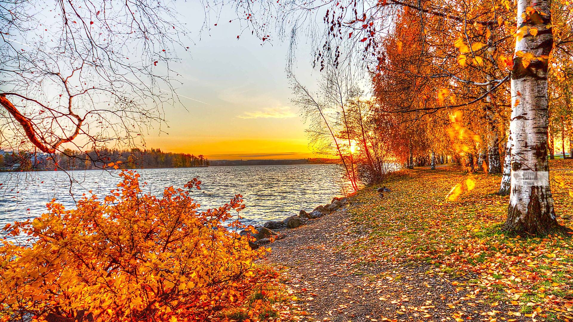 Fall Desktop Photos Hd Wallpapers - Autumn Landscape Background - HD Wallpaper 