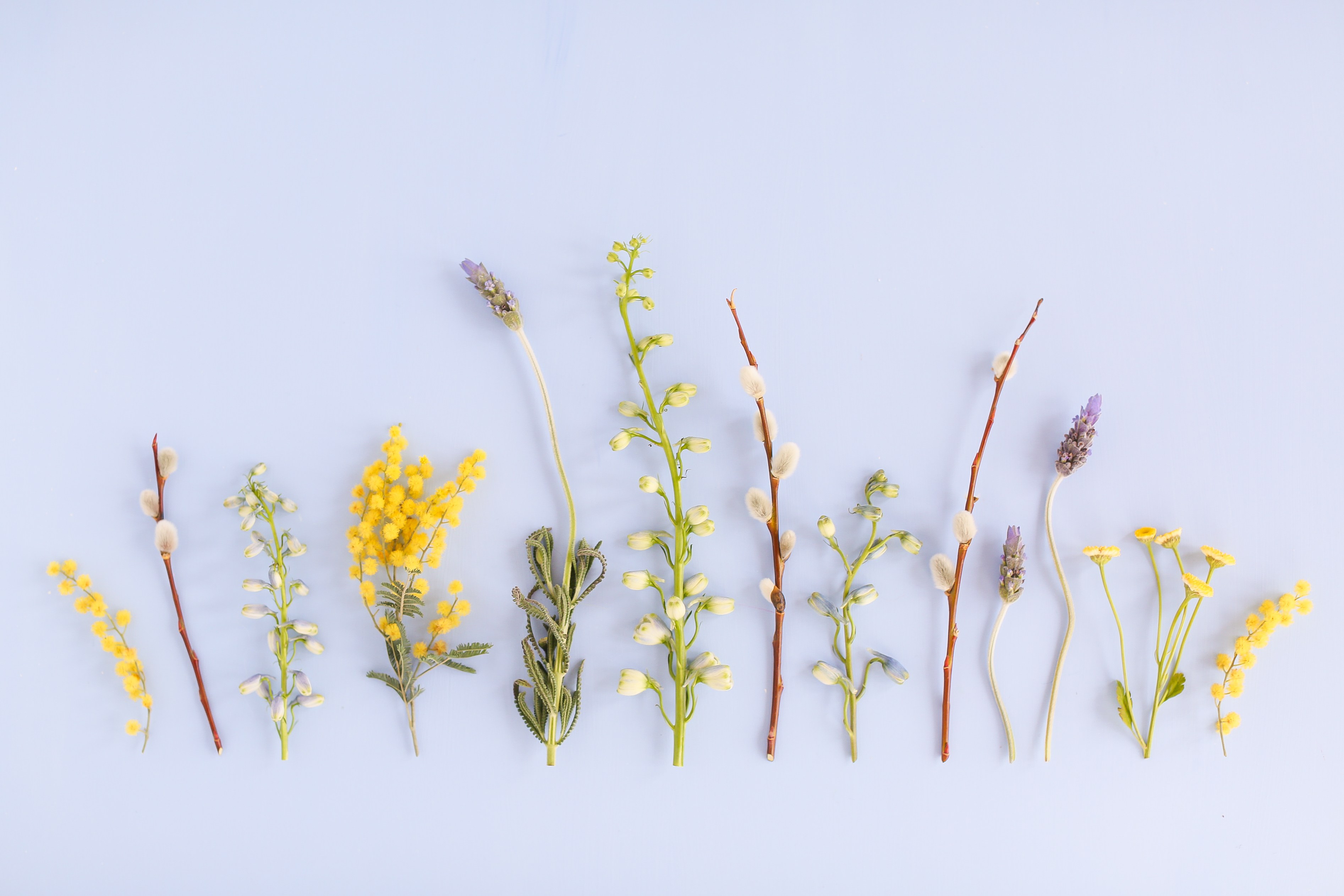 Aesthetic Desktop Wallpaper Summer - 3787x2525 Wallpaper - teahub.io