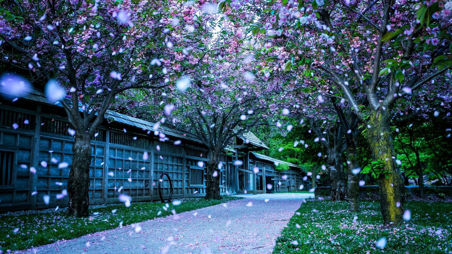 Spring Wallpaper High Quality Resolution - Spring Nature Background Hd - HD Wallpaper 
