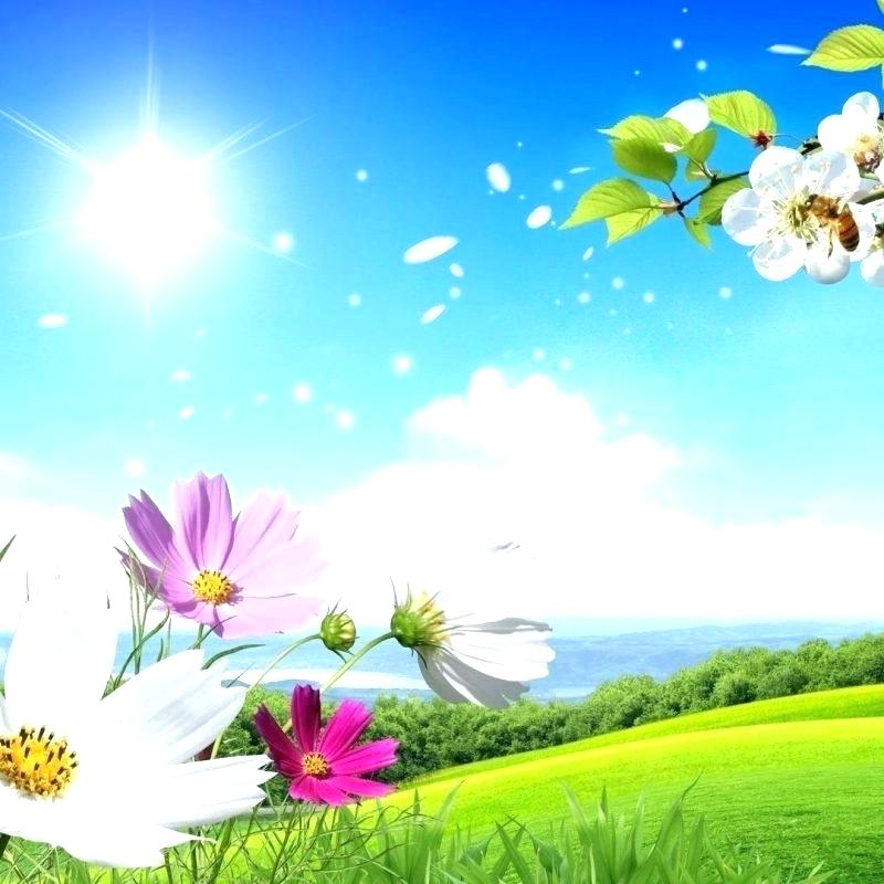 Free Desktop Wallpaper Nature Flowers Most Popular - Full Size Hd Wallpaper Download - HD Wallpaper 