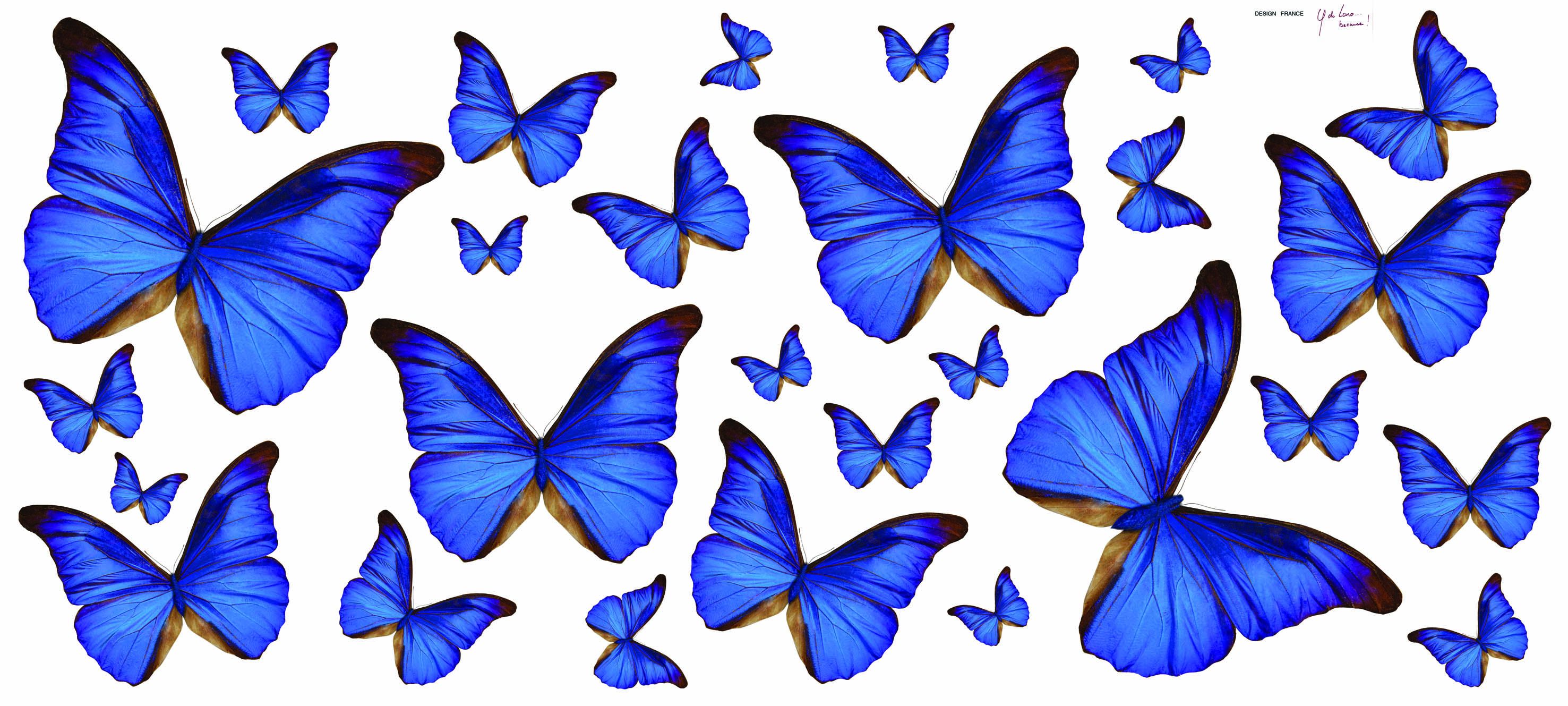 Blue Butterfly Sticker By Creative Wall Art - Papillon Couleurs Déssin - HD Wallpaper 