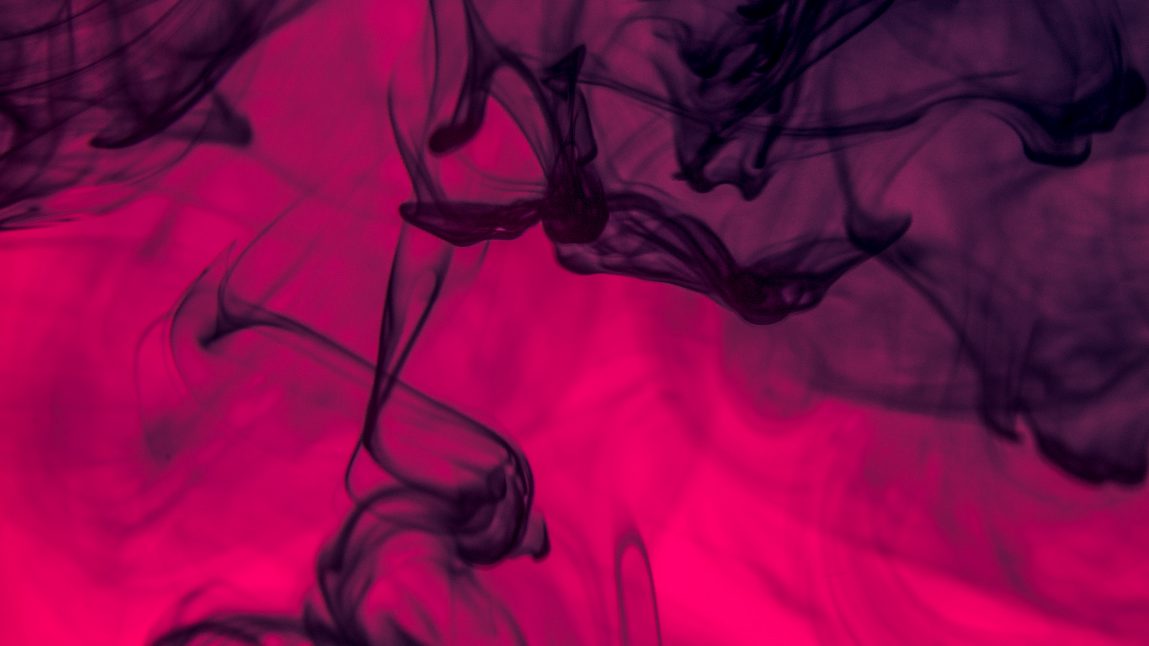Wallpaper Shroud Abstraction Smoke Black Pink Smoke Background 3840x2160 Wallpaper Teahub Io Wallpaper Shroud Abstraction Smoke Black Pink Smoke Background 3840x2160 Wallpaper Teahub Io