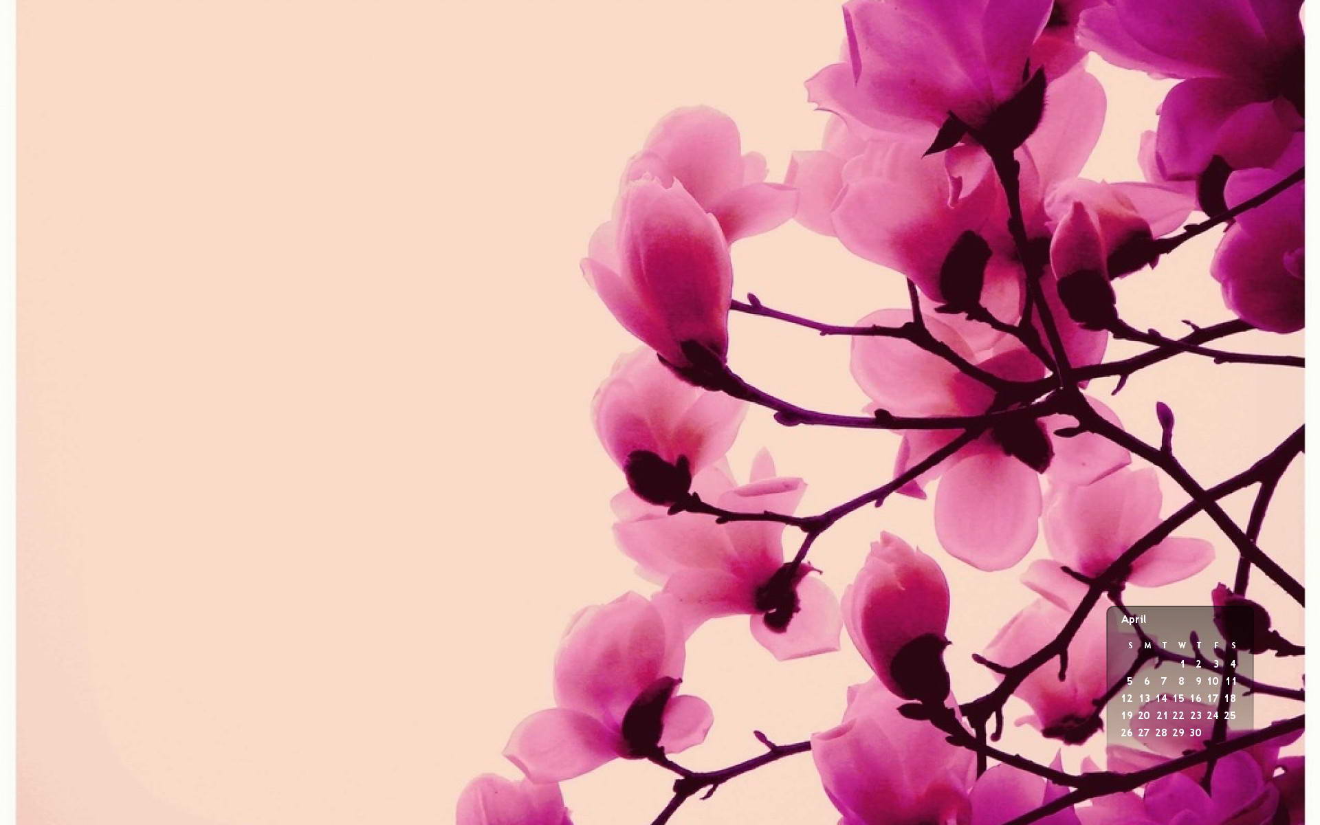 Beautiful Thoughts Of Forgiveness - HD Wallpaper 