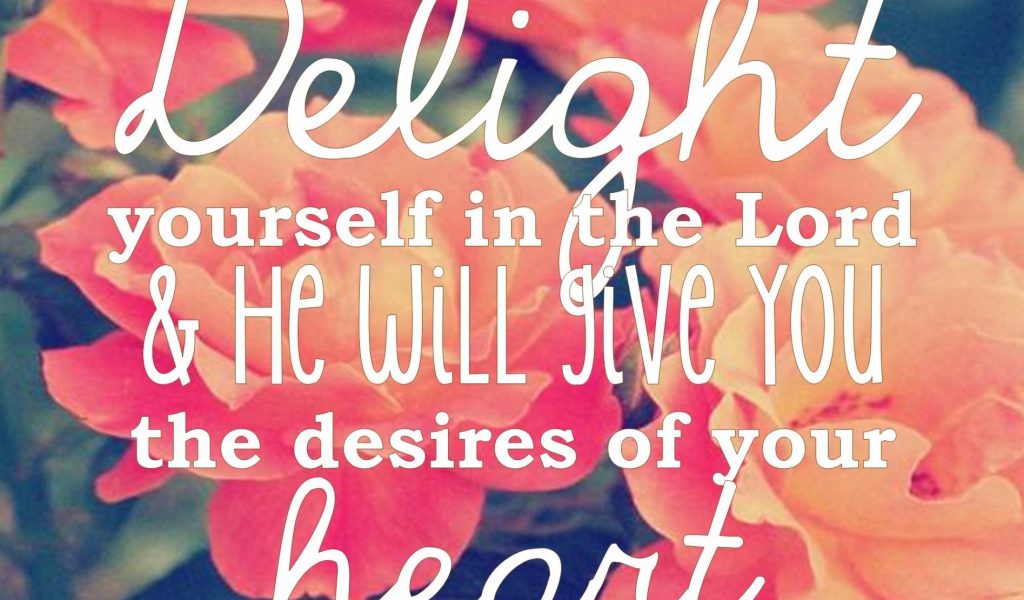 Wallpaper - HD Wallpaper 