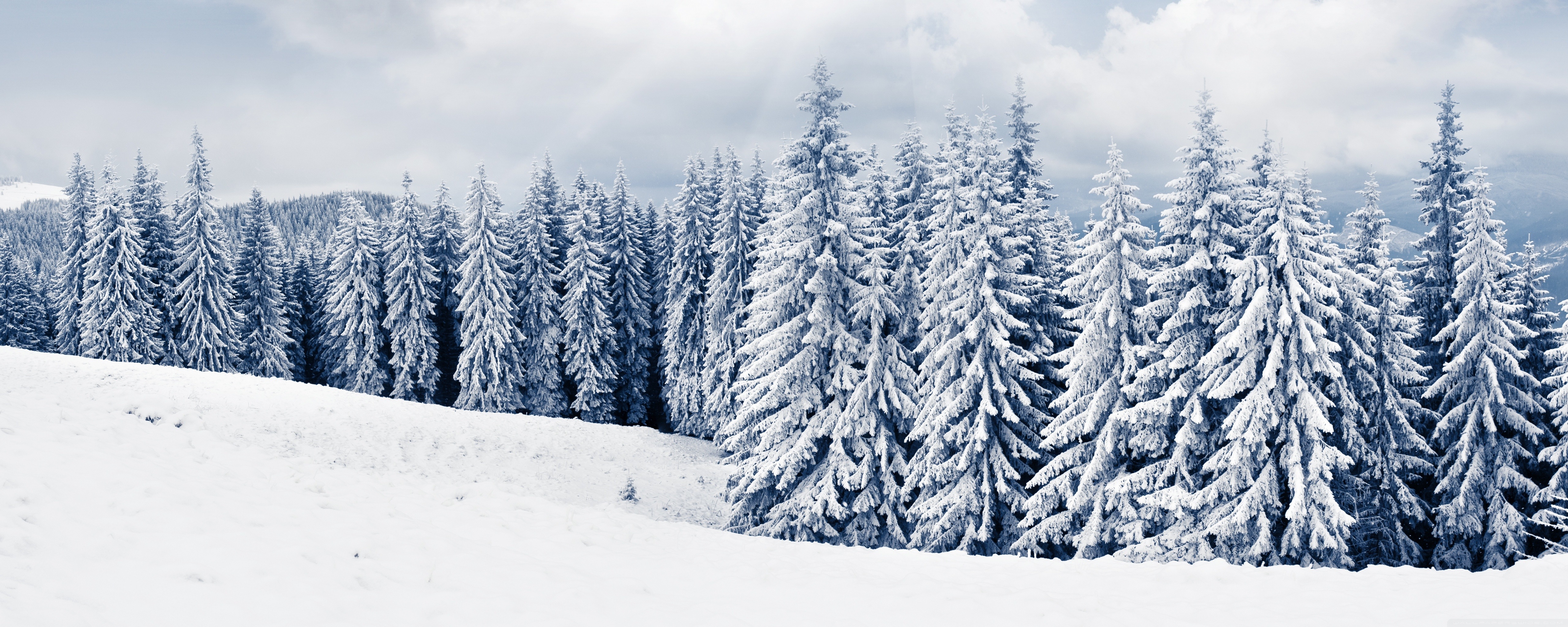 4k Dual Monitor Winter Wallpaper 11 - High Resolution Winter Desktop Backgrounds - HD Wallpaper 