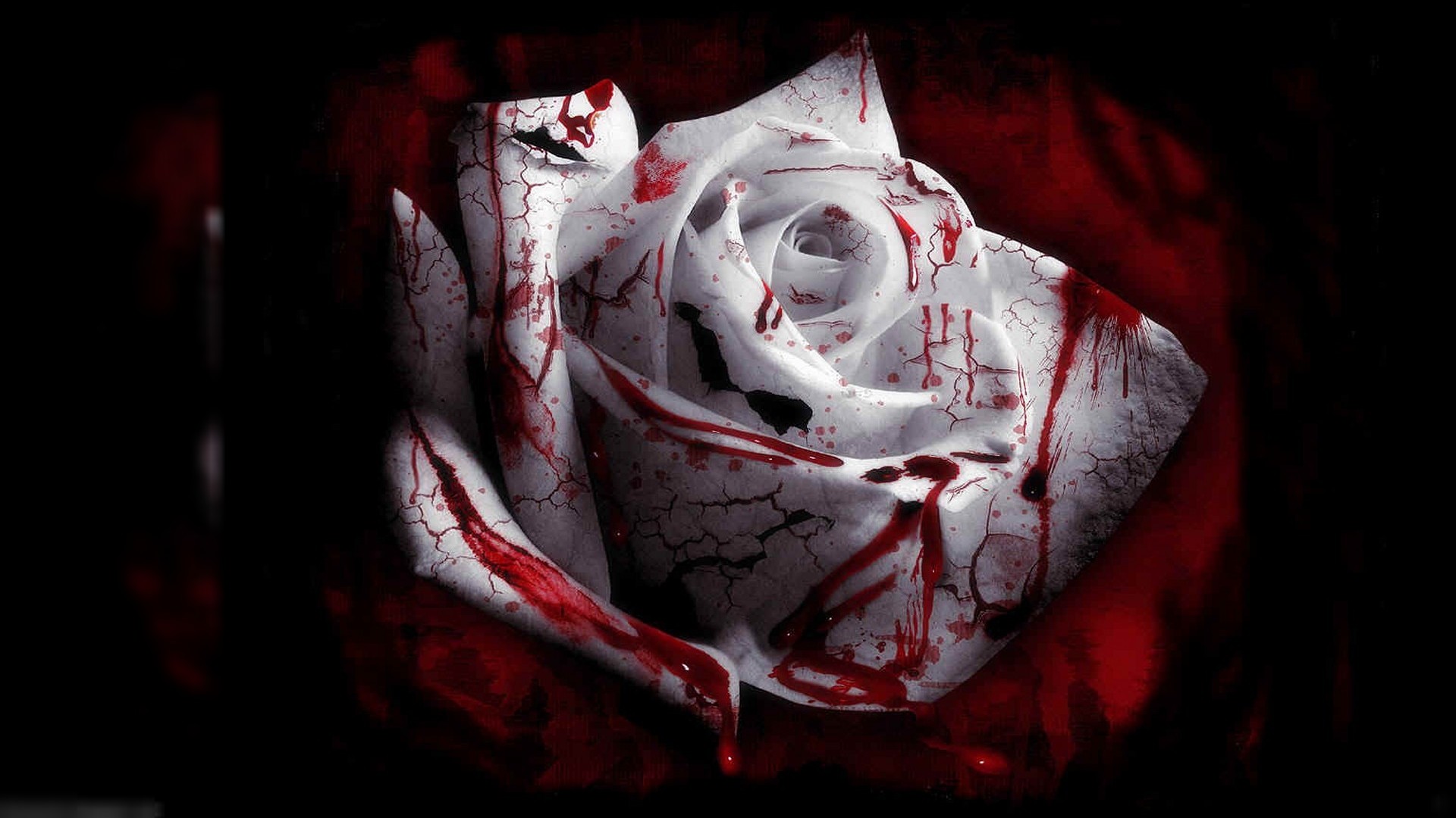 1920ã1080 Scary Wallpapers For Desktop 621853276 By - Rose In The Dark - HD Wallpaper 