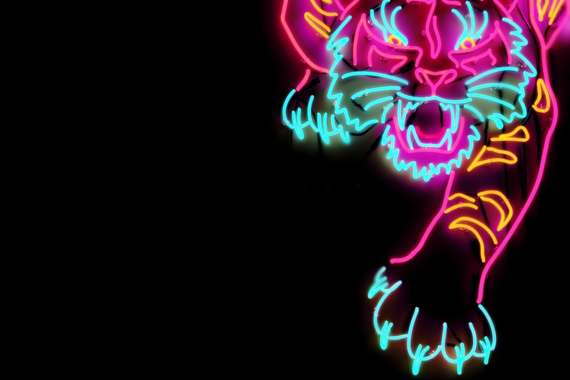 Tiger Neon - HD Wallpaper 