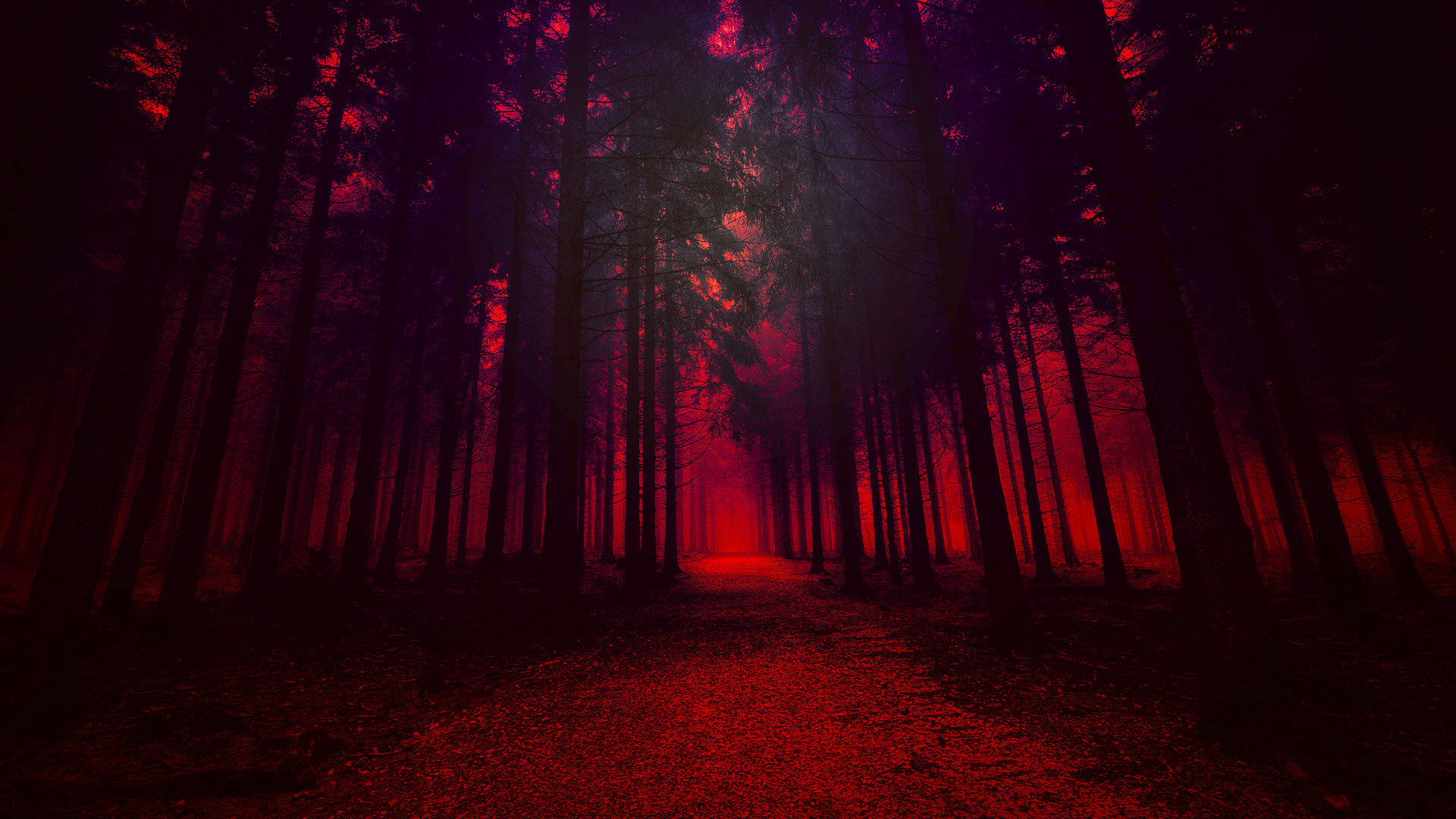 Red Forest Wallpaper Hd - HD Wallpaper 