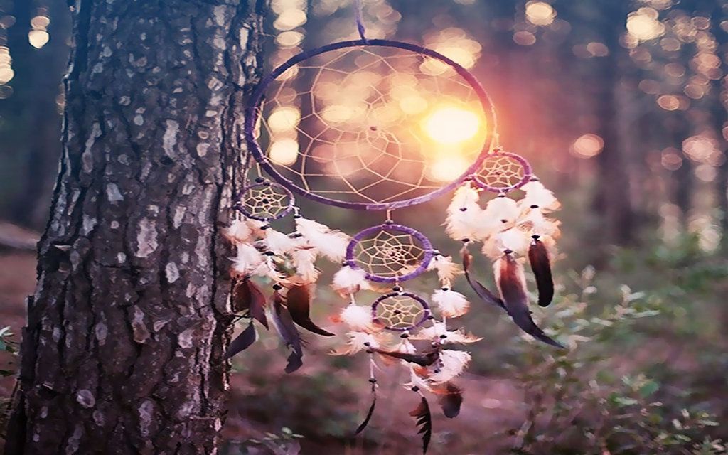 Stunning Dreamcatcher Pictures Dream Catcher Wallpaper Hd 1024x640 Wallpaper Teahub Io