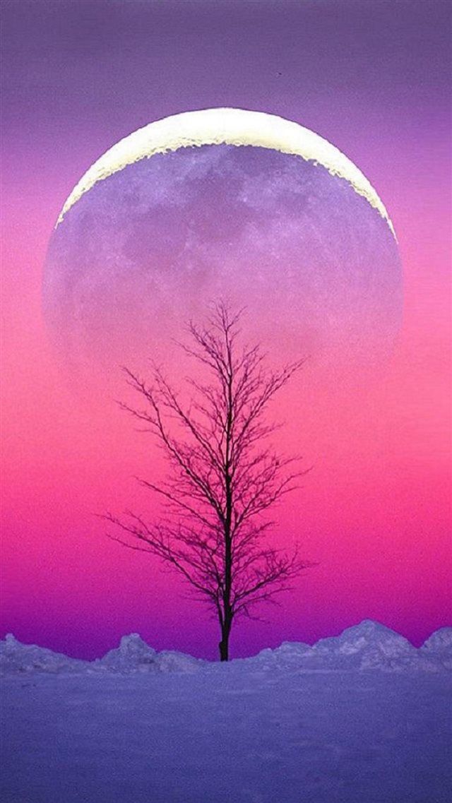 Pure Aesthetic Cold Sky View Iphone 8 Wallpaper - Full Moon Winter Solstice - HD Wallpaper 