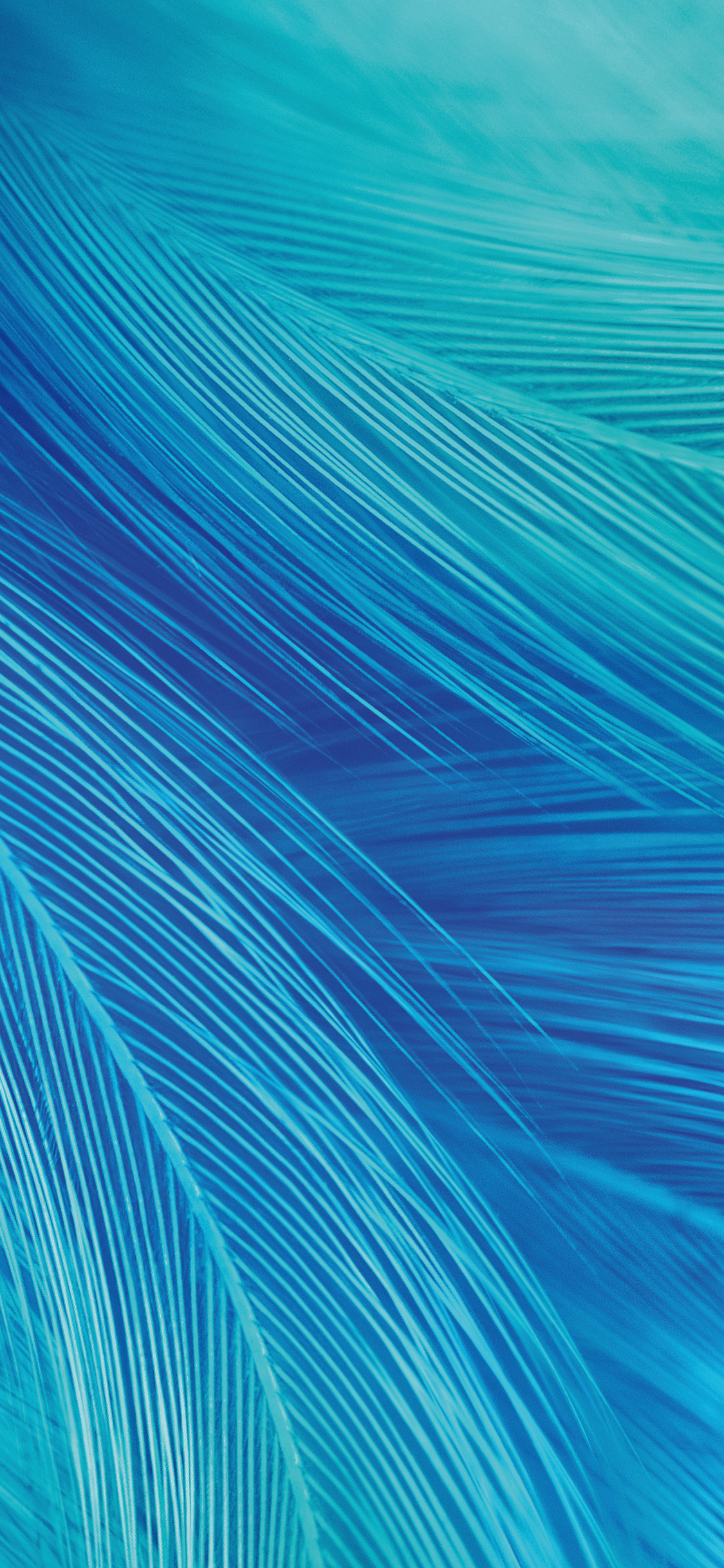Vivo X27, Close Up, Feathers, Stock, Wallpaper - Vivo X27 Wallpaper Hd - HD Wallpaper 