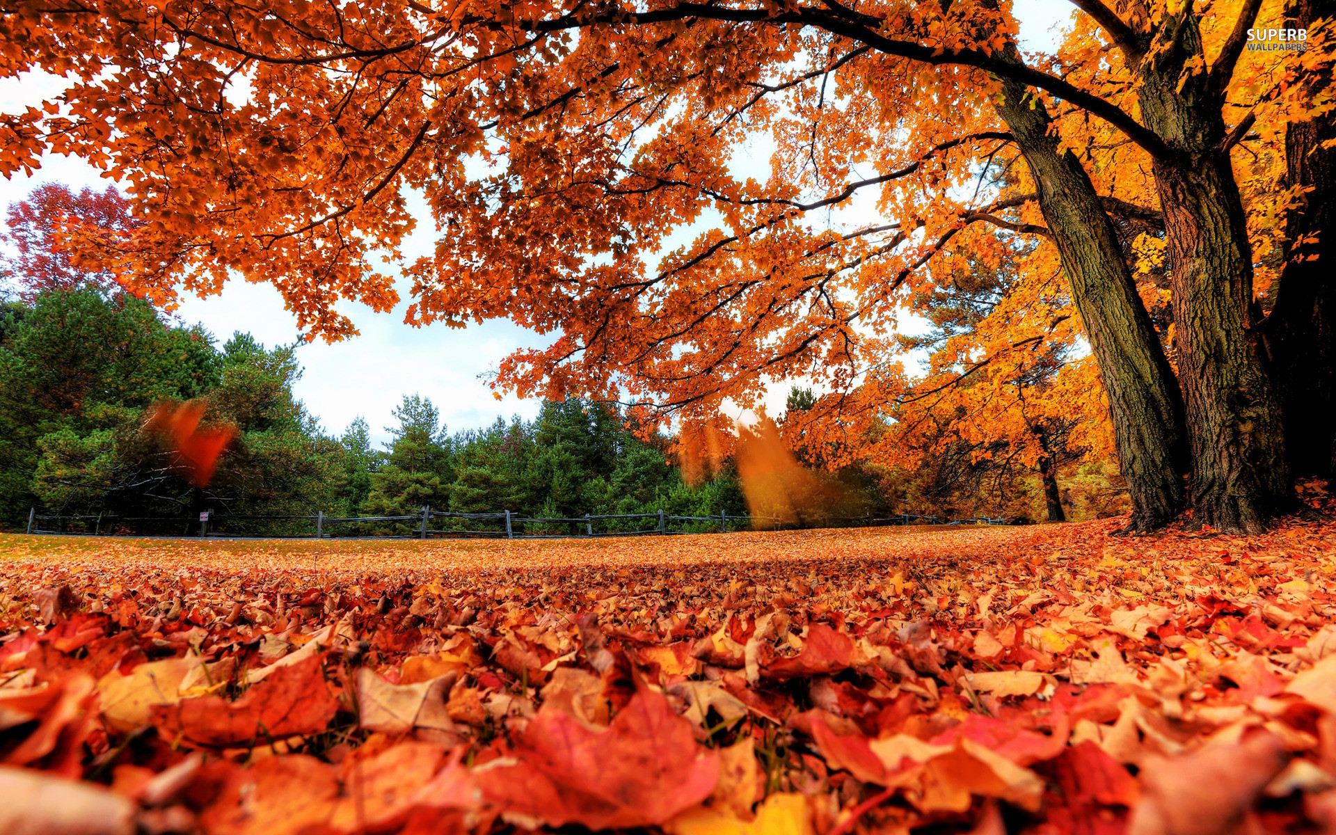 Fall Desktop Backgrounds - HD Wallpaper 