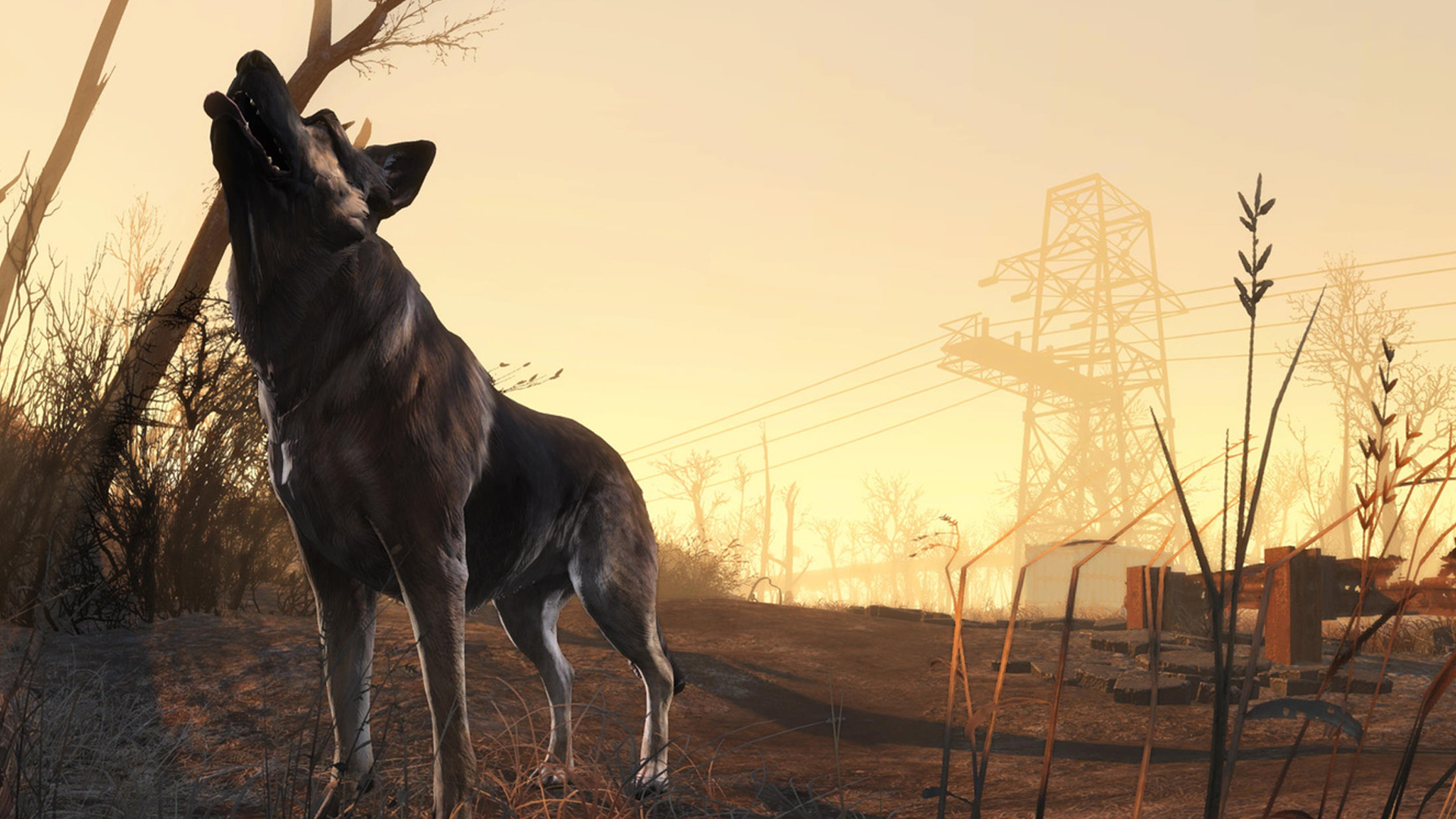 Fallout 4 Wallpaper - HD Wallpaper 