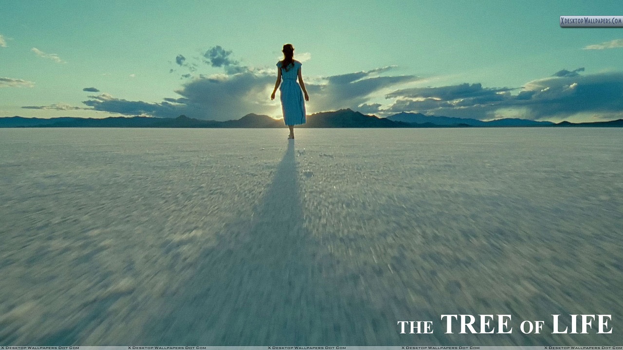 Tree Of Life Wallpaper Movie - HD Wallpaper 