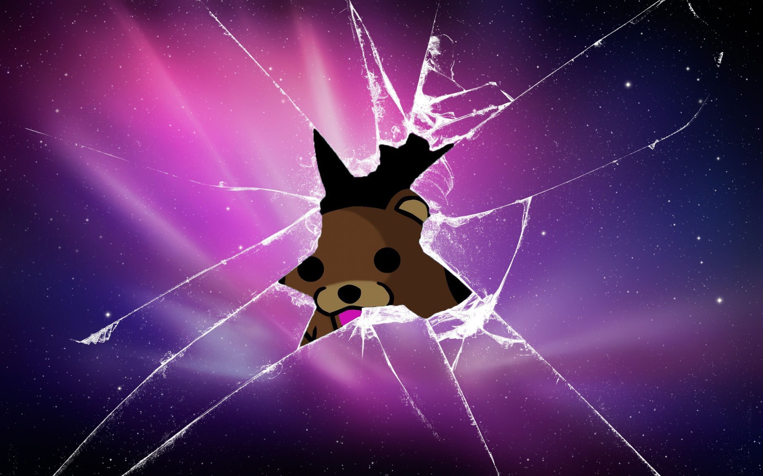 Best Broken Screen Wallpapers Download Free - Bear Breaking Through Glass - HD Wallpaper 