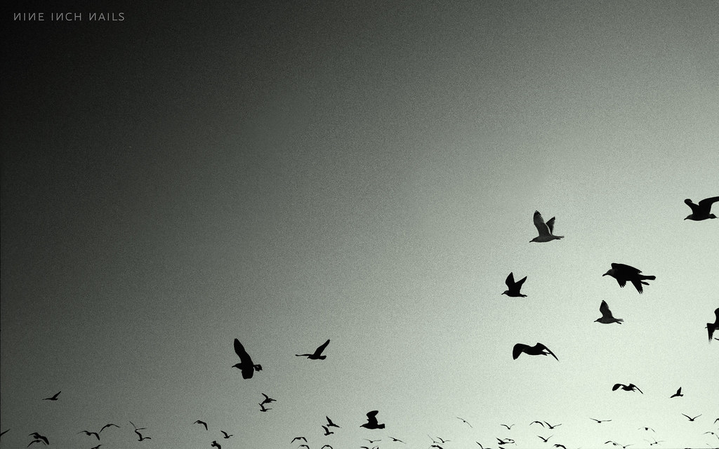 Artwork Nine Inch Nails Ghosts - HD Wallpaper 