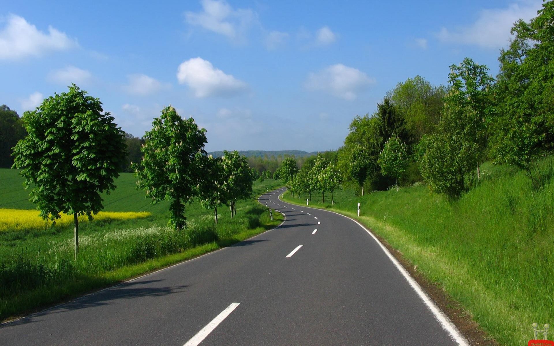 Dharwad To Dandeli Road - HD Wallpaper 