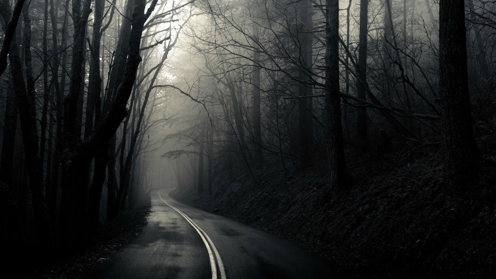 Road Wallpapers Full Hd - Dark Woods - HD Wallpaper 