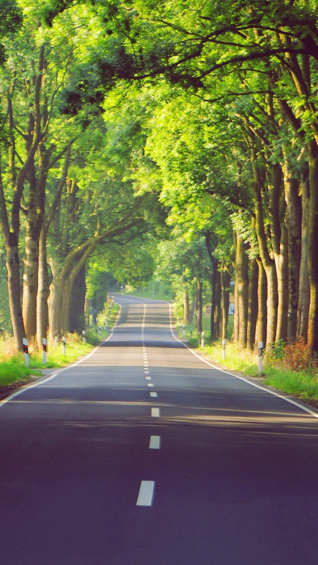 Natural Background Png Hd - 1080x1920 Wallpaper Natural Background Png Hd - 1080x1920 Wallpaper