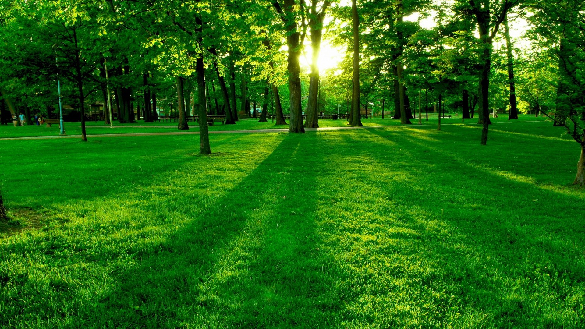Green Park Wallpaper Free Mobile Phone Wallpapers Hd - Refreshing Wallpaper For Desktop - 1920x1080 Wallpaper Green Park Wallpaper Free Mobile Phone Wallpapers Hd - Refreshing Wallpaper For Desktop - 1920x1080 Wallpaper