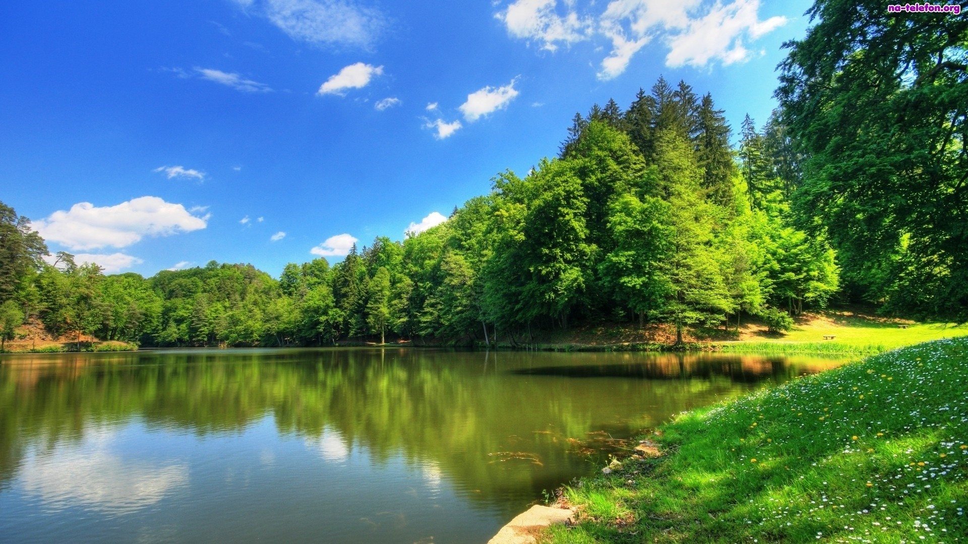 Hd Nature Wallpaper Fresh Desktop Wallpapers For Widescreen - Environment Images Hd - 1920x1080 Wallpaper Hd Nature Wallpaper Fresh Desktop Wallpapers For Widescreen - Environment Images Hd - 1920x1080 Wallpaper