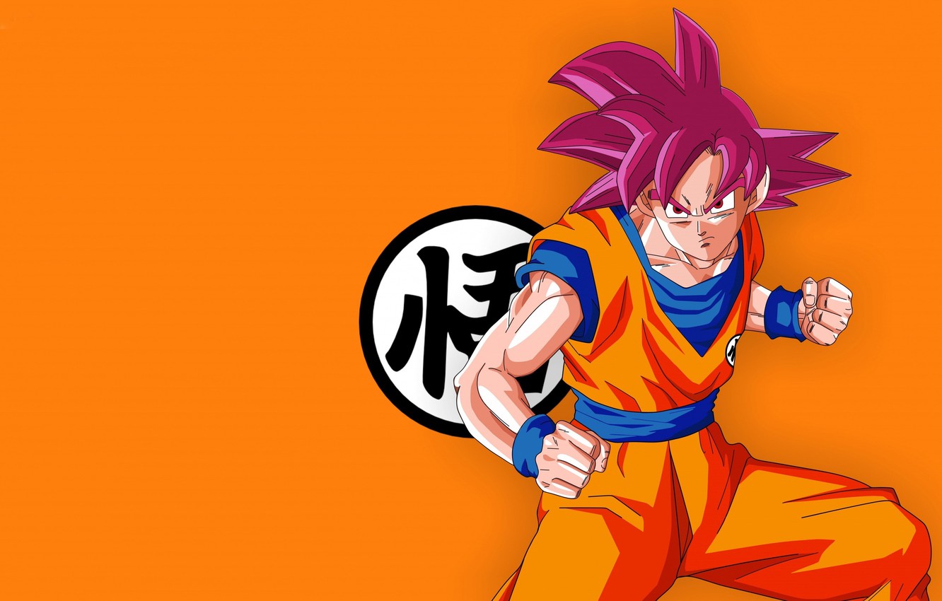 Photo Wallpaper Alien, Anime, Man, Orange, Martial - Goku Super Saiyan Blue - HD Wallpaper 