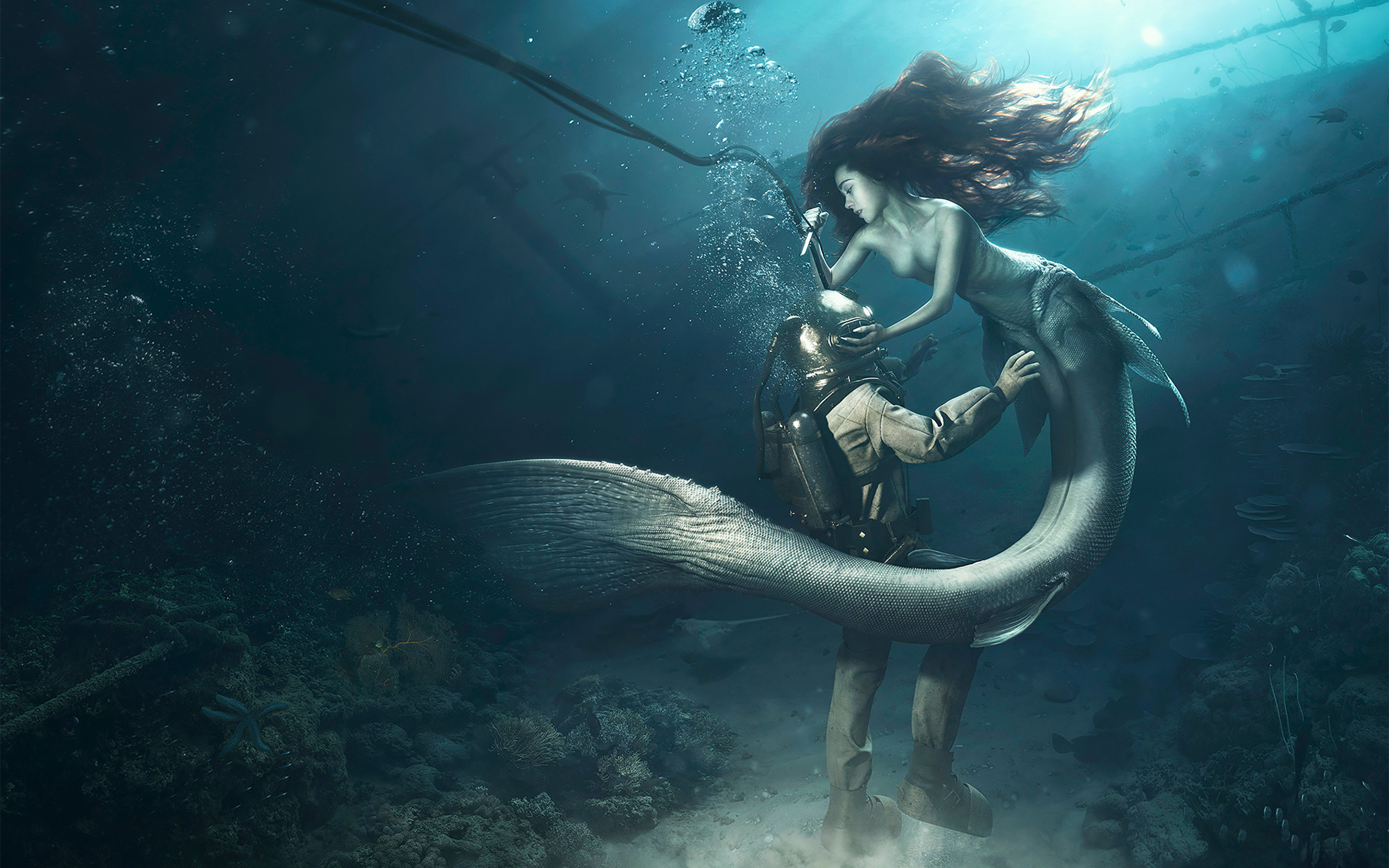 Diver And The Mermaid - Mermaid Wallpaper Hd - HD Wallpaper 