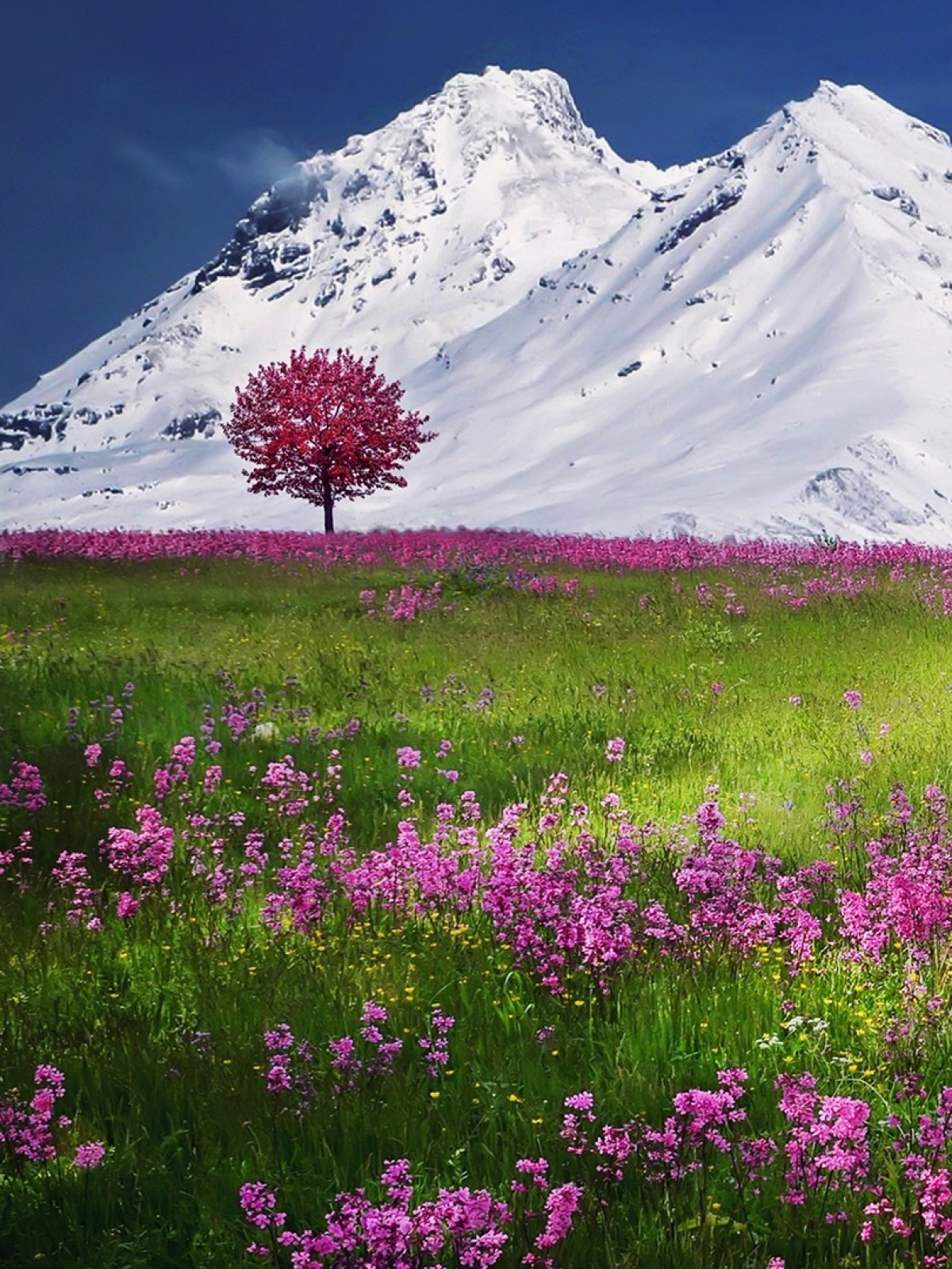 Nature Mobiles Wall - Spring In Switzerland 2019 - HD Wallpaper 