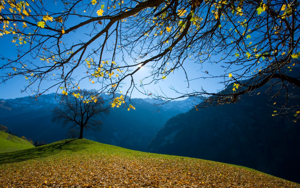 Cool Nature Wallpaper Switzerland Hd 1280x800 Wallpaper Teahub Io