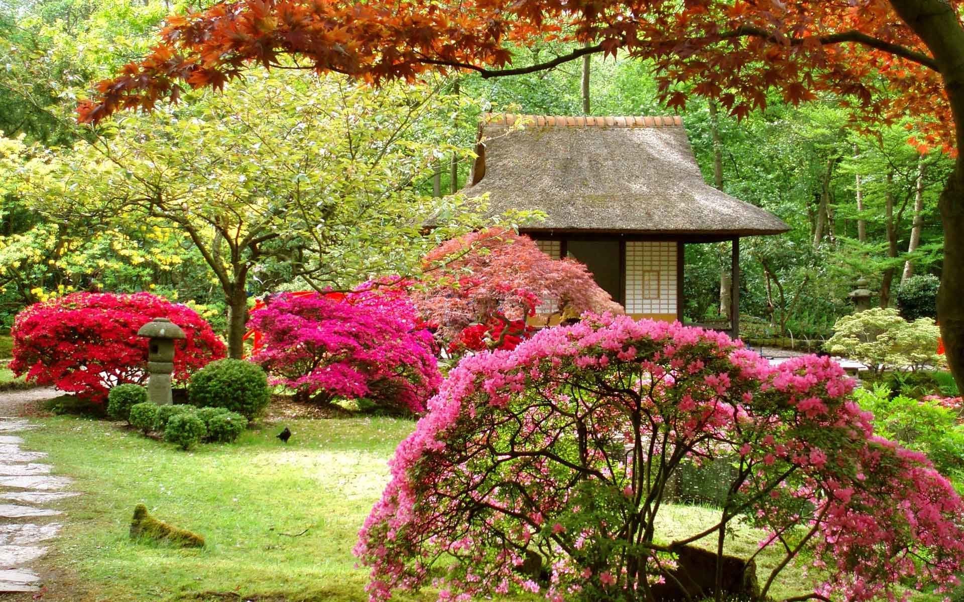 Landscapes Japanese Asian Garden Flowers Spring Japan - Best Trees Japanese Garden - HD Wallpaper 