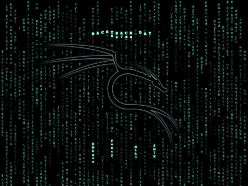 Hacker Wallpaper - Linux Backtrack - HD Wallpaper 