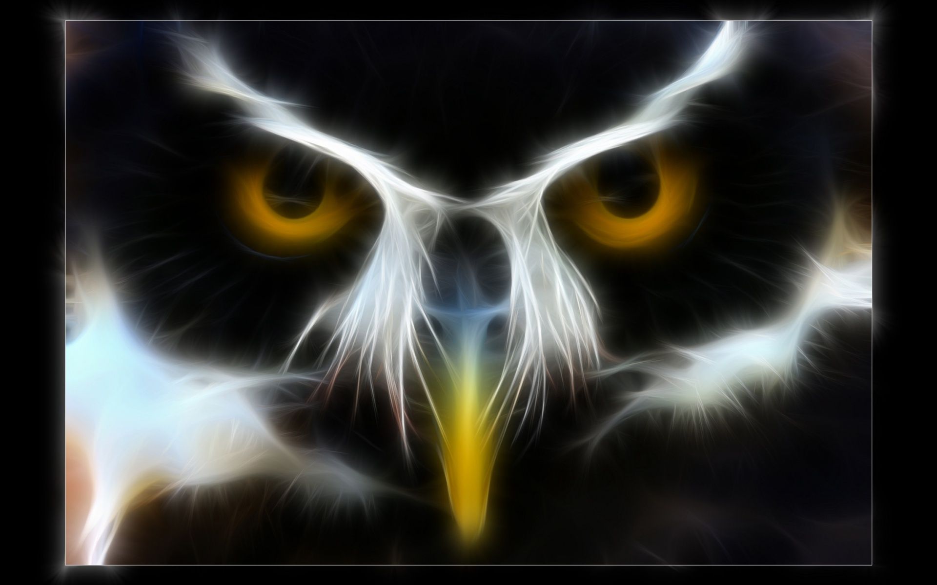 Wallpaper - HD Wallpaper 