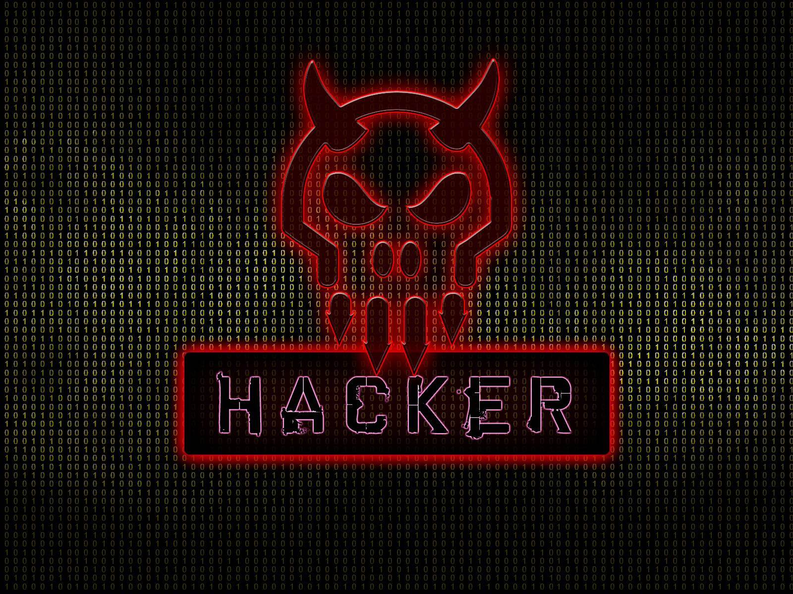 Shell Hacker - HD Wallpaper 
