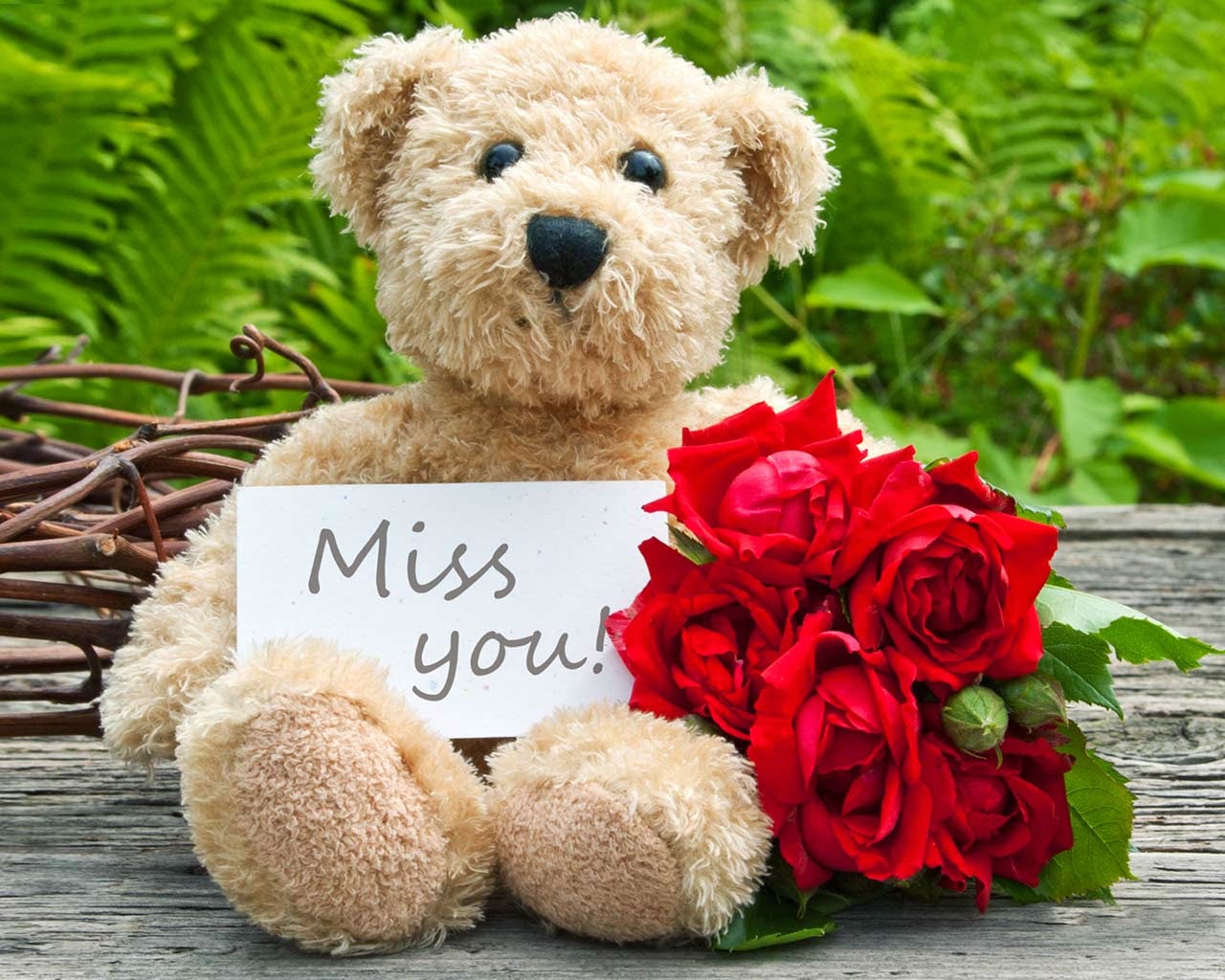 Miss You Teady Bear Wallpapers - Get Well Soon Red Flowers - HD Wallpaper 