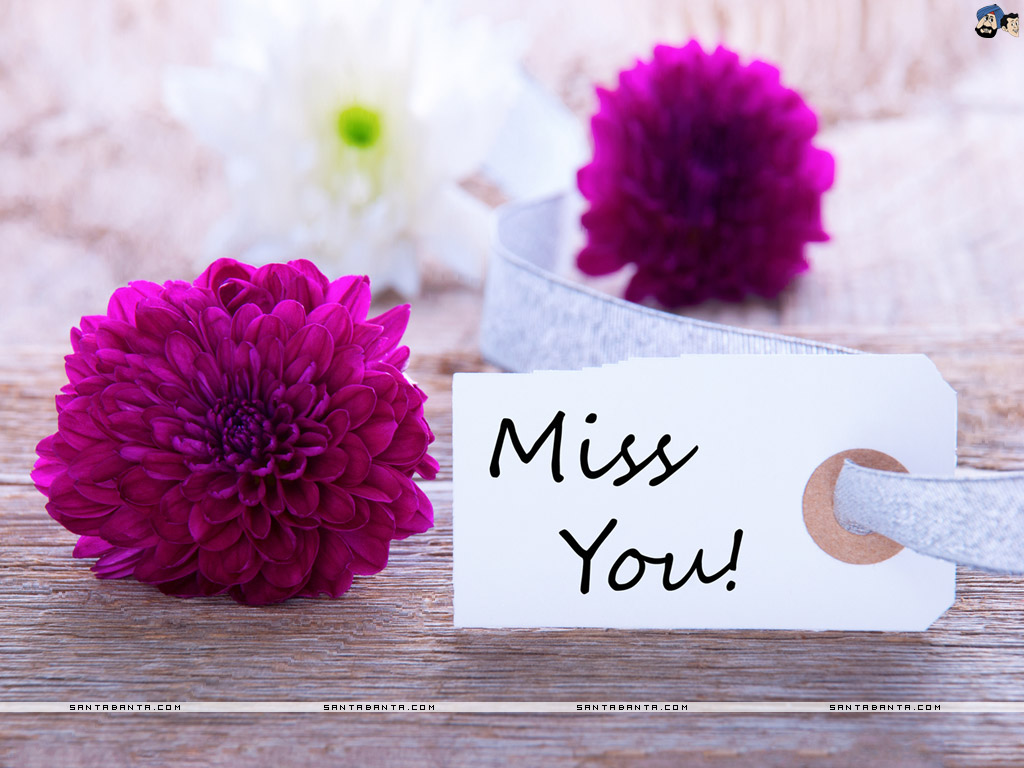 Miss You - HD Wallpaper 