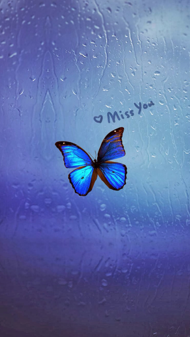 Miss You Iphone Wallpaper - Miss You With Butterfly - HD Wallpaper 