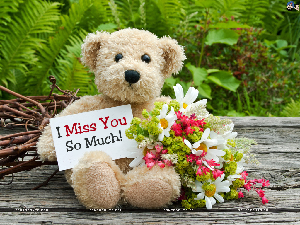 Miss You - Bear With Flowers For You - HD Wallpaper 