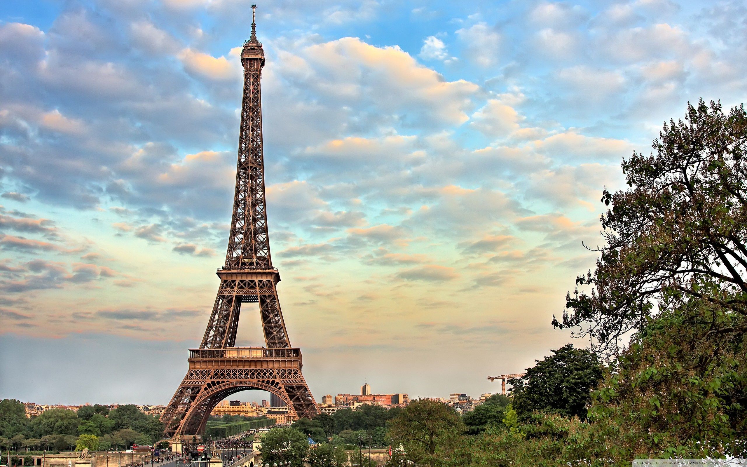 Eiffel Tower, Paris, France ❤ 4k Hd Desktop Wallpapers - Eiffel Tower -  2560x1600 Wallpaper 