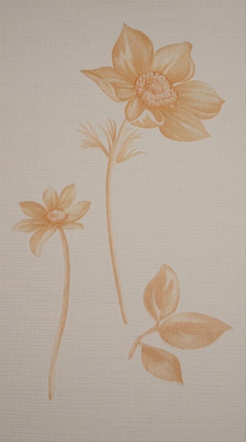 Wallpaper Cantik Bunga Orange 10mx53cm - Rosa Canina - HD Wallpaper 