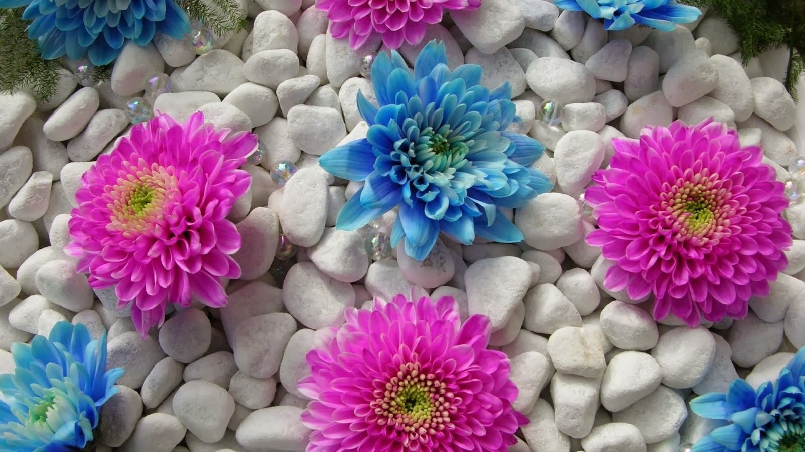 Wallpaper™ Cantik © Twitter - Laptop Flowers Wallpaper Hd - HD Wallpaper 