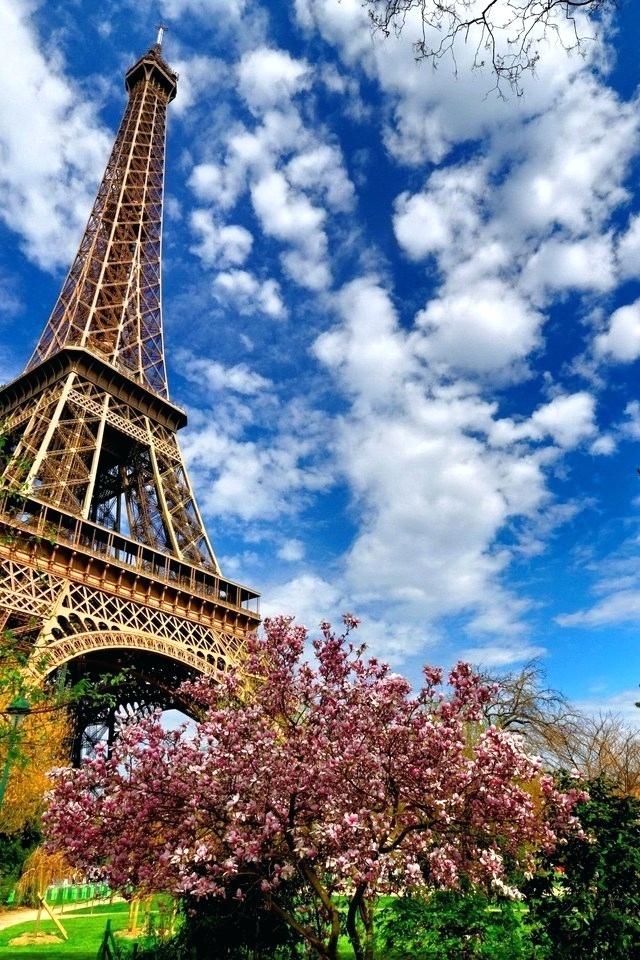 Eiffel Tower - 640x960 Wallpaper 