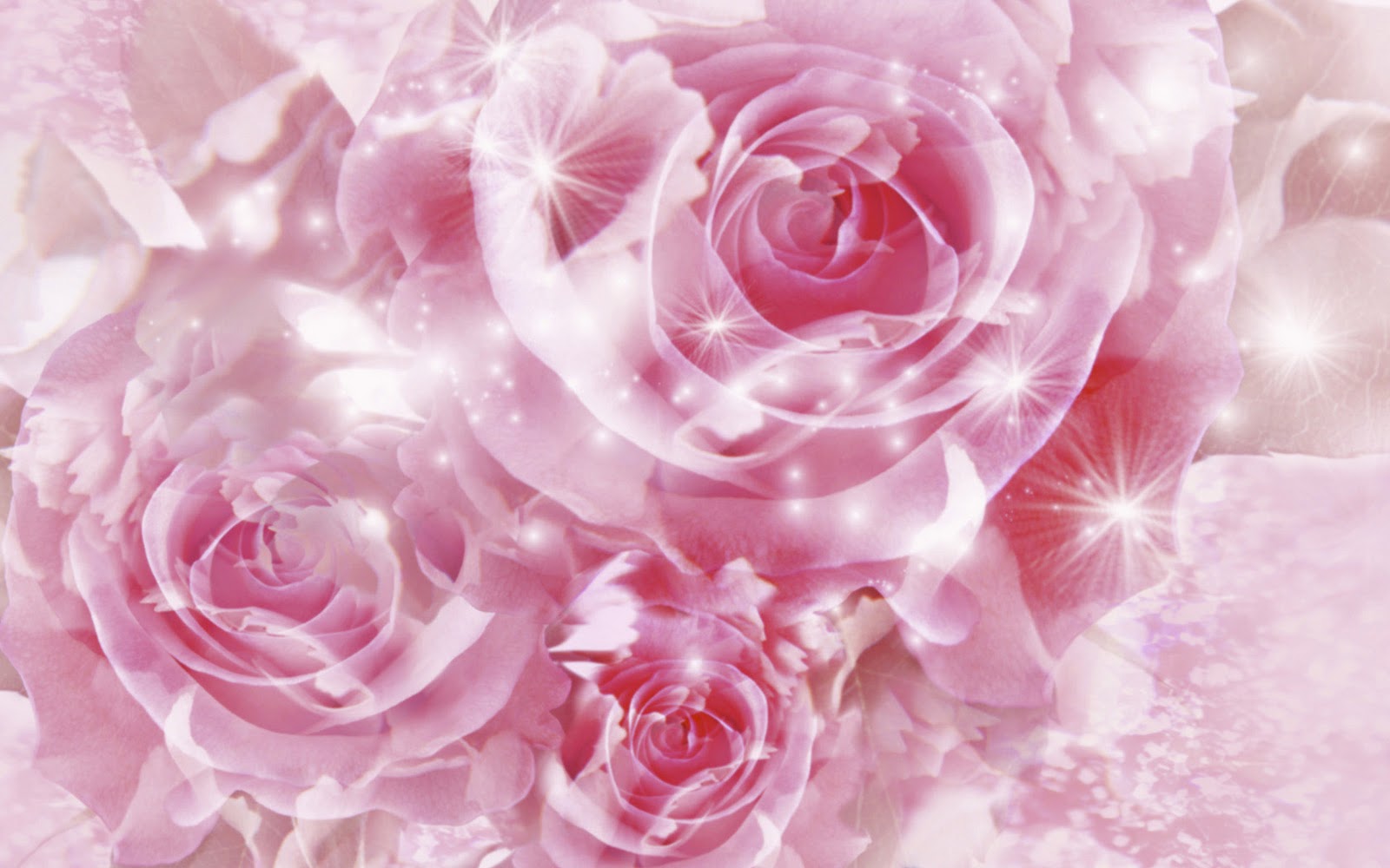 Pink Rose Wallpaper Download - HD Wallpaper 